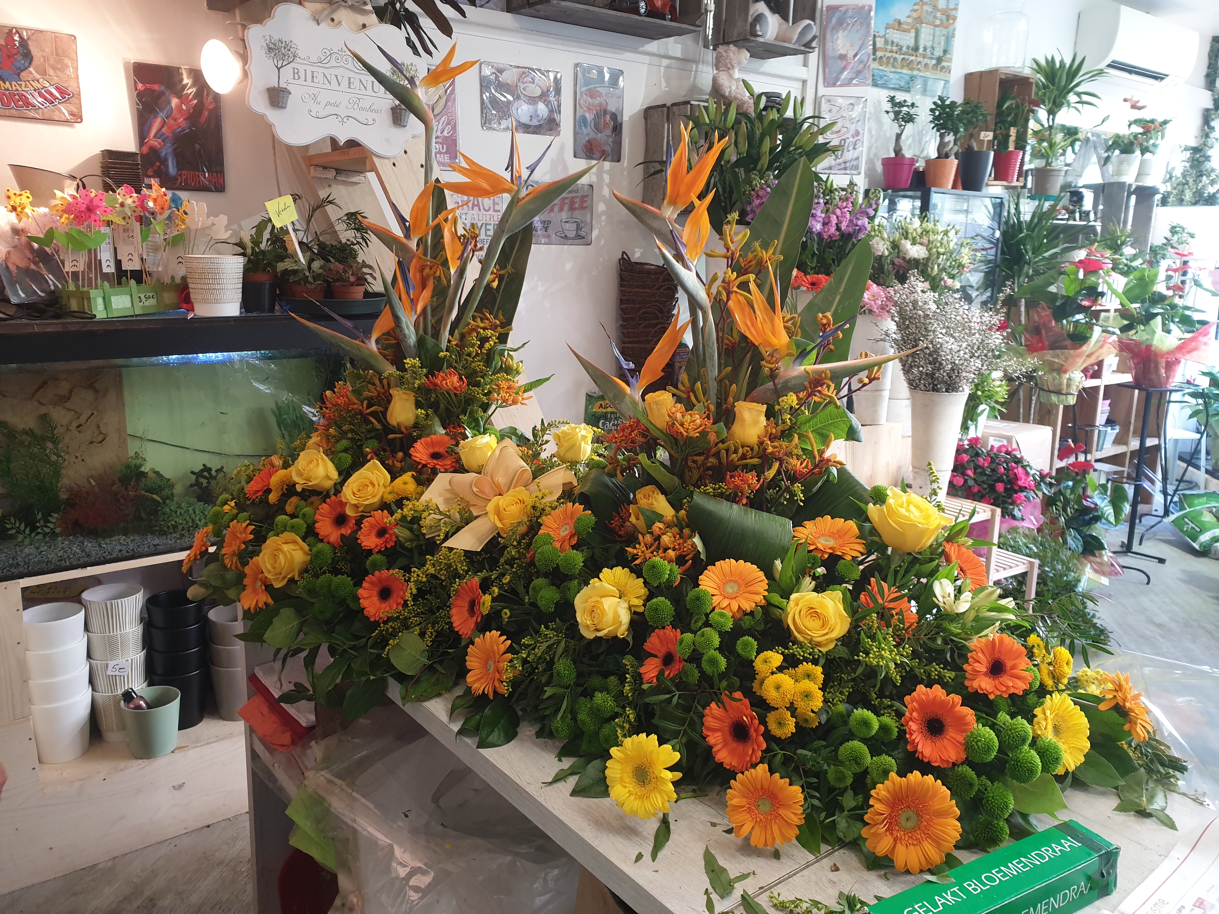 Raquette funéraire 3